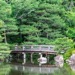 トリップアドバイザー提供