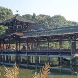 トリップアドバイザー提供