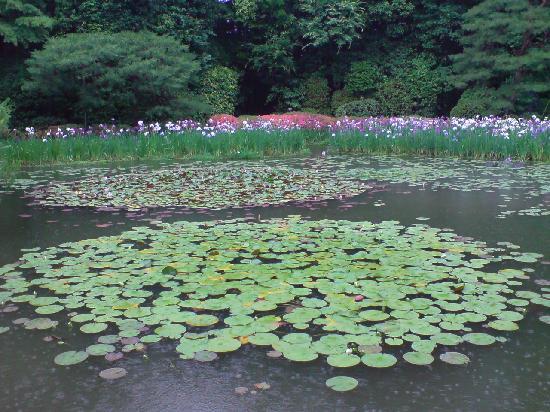 トリップアドバイザー提供