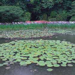 トリップアドバイザー提供