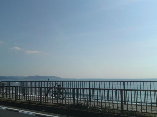 トリップアドバイザー提供