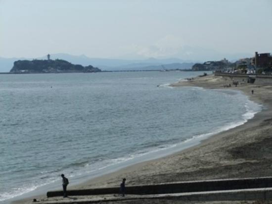 トリップアドバイザー提供