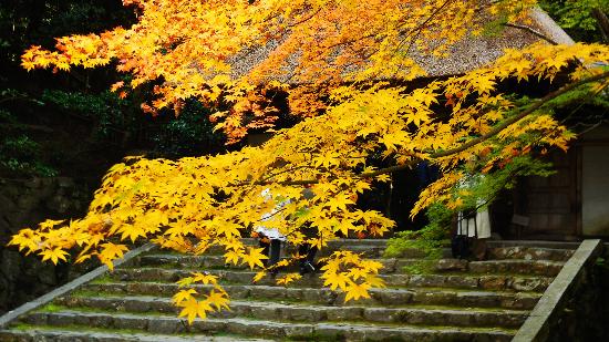 トリップアドバイザー提供