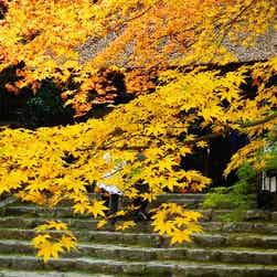 トリップアドバイザー提供