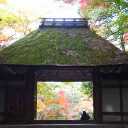 トリップアドバイザー提供