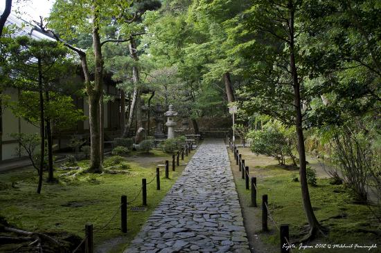 トリップアドバイザー提供
