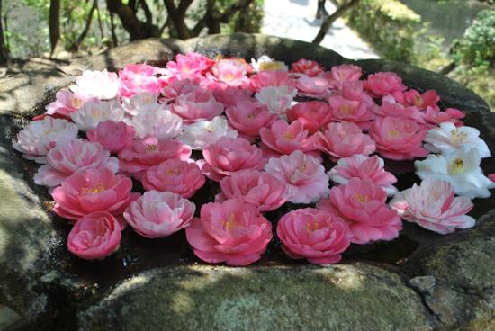 トリップアドバイザー提供