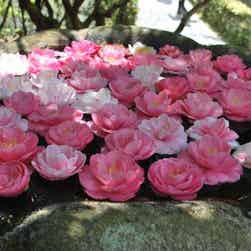 トリップアドバイザー提供