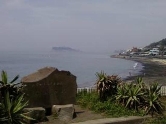 トリップアドバイザー提供