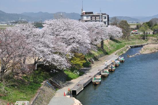 トリップアドバイザー提供