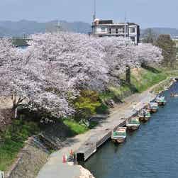 トリップアドバイザー提供