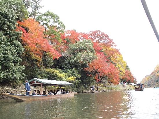 トリップアドバイザー提供