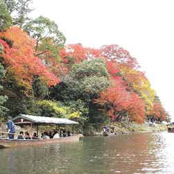 トリップアドバイザー提供