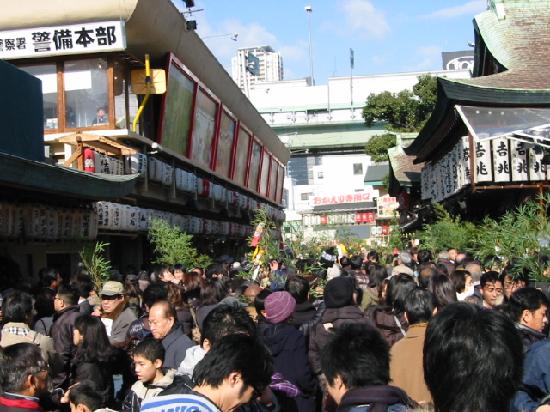 トリップアドバイザー提供