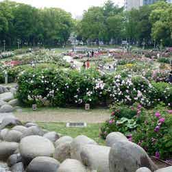 トリップアドバイザー提供