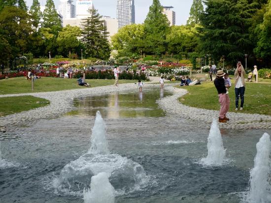 トリップアドバイザー提供