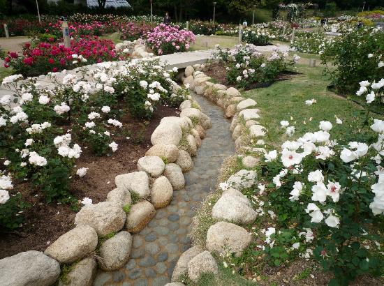 トリップアドバイザー提供