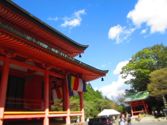 トリップアドバイザー提供