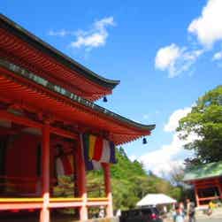 トリップアドバイザー提供