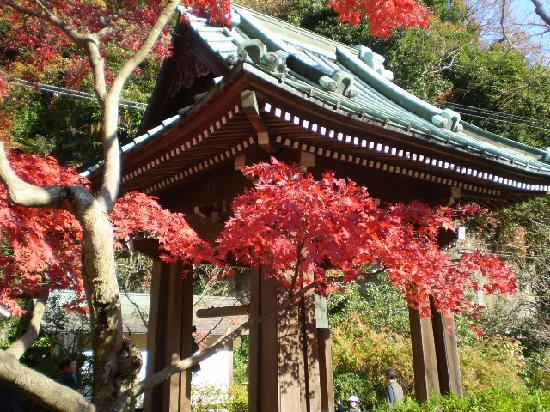 トリップアドバイザー提供