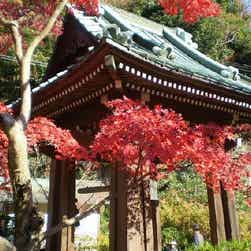 トリップアドバイザー提供