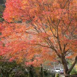 トリップアドバイザー提供