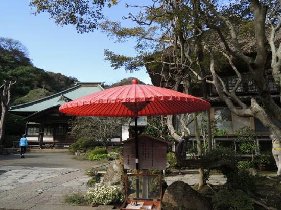 トリップアドバイザー提供