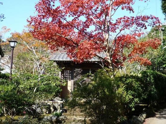 トリップアドバイザー提供