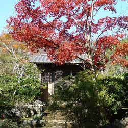 トリップアドバイザー提供