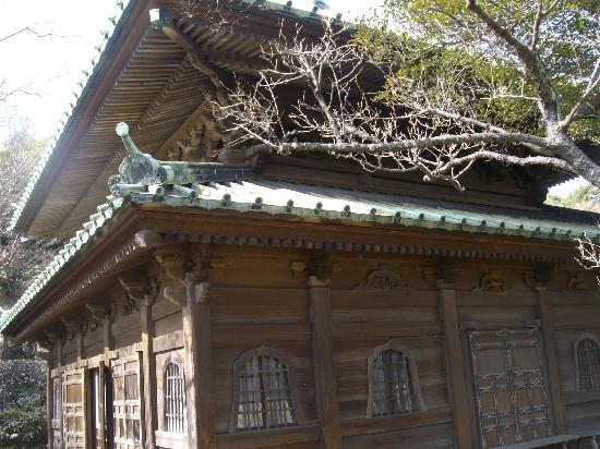 トリップアドバイザー提供