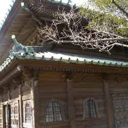 トリップアドバイザー提供