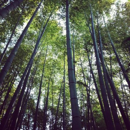 トリップアドバイザー提供