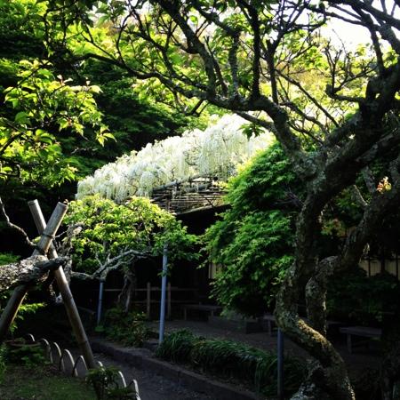 トリップアドバイザー提供