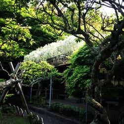 トリップアドバイザー提供