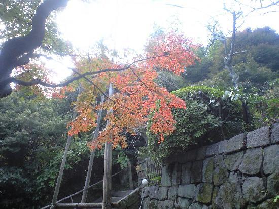 トリップアドバイザー提供