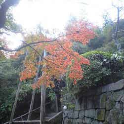 トリップアドバイザー提供