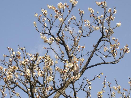 トリップアドバイザー提供