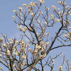 トリップアドバイザー提供