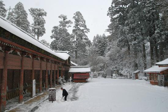 トリップアドバイザー提供