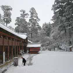 トリップアドバイザー提供