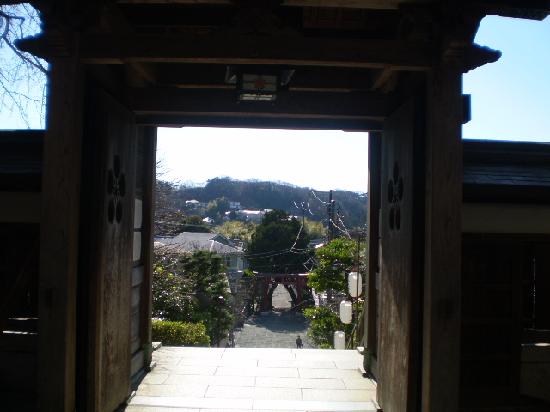 トリップアドバイザー提供