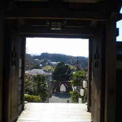 トリップアドバイザー提供