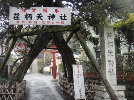 トリップアドバイザー提供