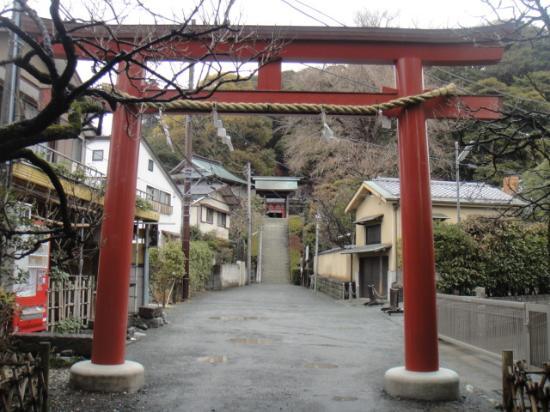 トリップアドバイザー提供