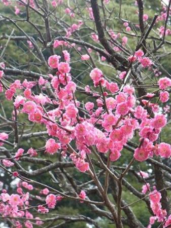 トリップアドバイザー提供