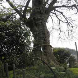 トリップアドバイザー提供