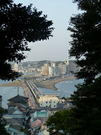 トリップアドバイザー提供