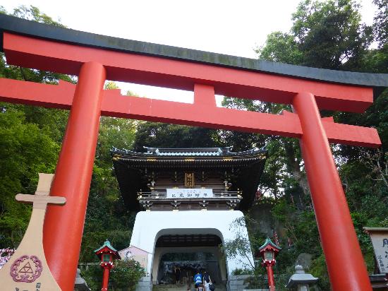 トリップアドバイザー提供