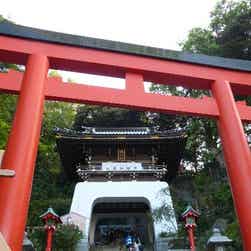 トリップアドバイザー提供