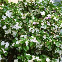 トリップアドバイザー提供